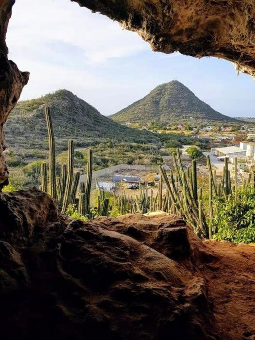 オラニエスタッドAruba Backpackersアパートメント エクステリア 写真